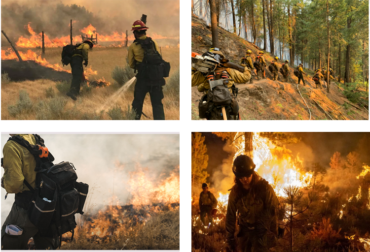 Forest Fire Extinguisher18