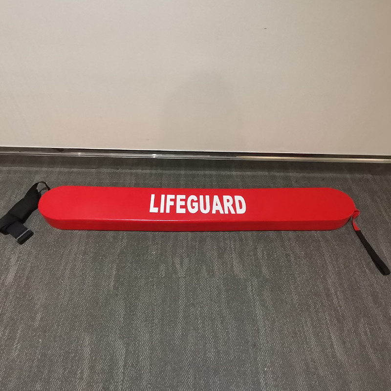life guard1