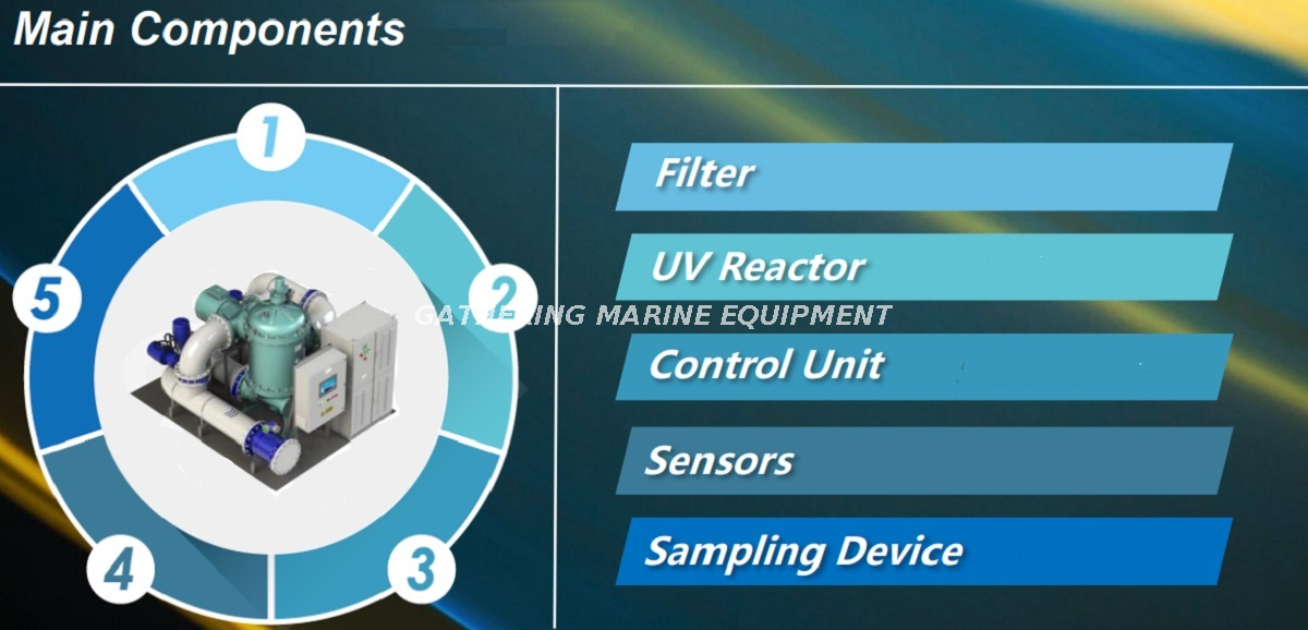 Main Components of BWTS
