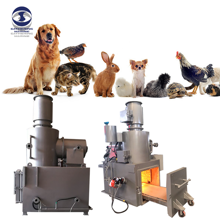 The Necessity of Incinerating Pet And Poultry Carcasses Compared To Burial